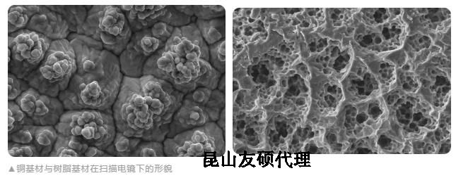 浦东蔡司浦东扫描电镜