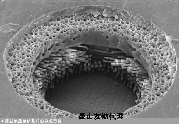 浦东蔡司浦东扫描电镜